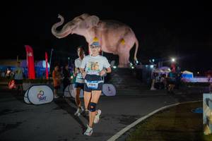 BIB: 
                            <button type="button" onclick="openModal(26551829)" class="btn btn-primary btn-sm float-right btn-popup" data-toggle="modal" data-target=".modal-high-quality">
                        <i class="fas fa-shopping-cart"></i> Add to Cart
                    </button>
                                            <button type="button" onclick="isThisMe(26551829, true)" class="btn btn-success btn-sm float-right btn-popup btn-isme hidden" data-toggle="tooltip" data-placement="bottom" title="นี่คือรูปของคุณใช่ไหม คลิกที่นี่เพื่อเอาเข้าอัลบั้ม">
                        <i class="fas fa-plus"></i> Add to album
                    </button>
                    <button type="button" onclick="isThisMe(26551829, false)" class="btn btn-warning btn-sm float-right btn-popup btn-isnotme hidden">
                        <i class="fas fa-ban"></i> Remove from album
                    </button>